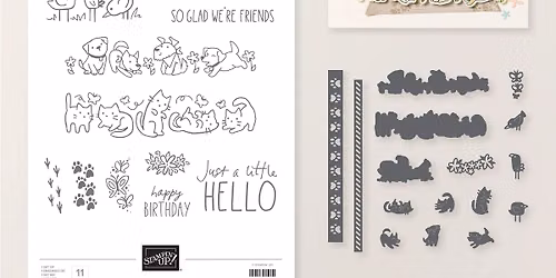 Coffee & Cards with Craftyduckydoodah!