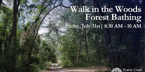 Walk in the Woods \/ Forest Bathing - REGISTRATION FULL