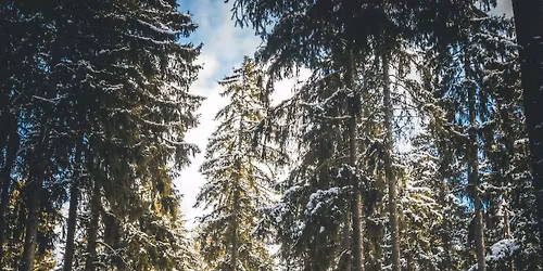 Men\u2019s Restore and Rejuvenate Weekend with Dan Blackburn