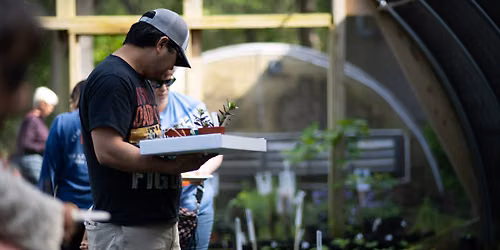 Fall Native Plant Sale 
