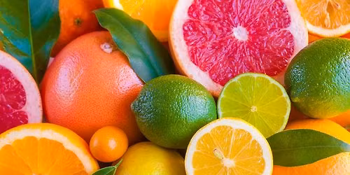 Auckland Seedsavers June 2026 Meeting 