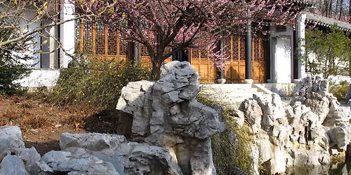 Spring Flowering Tree and Shrub Walk