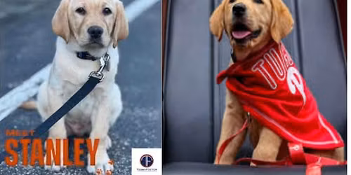 Paws and Poses for a Cause