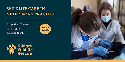 Wildlife Care in Veterinary Practice