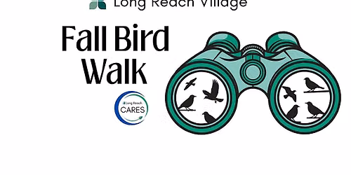Fall Bird Walk