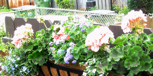 Byrd Park Garden Tour IS A PRIVATE EVENT