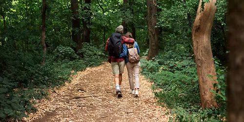 Biodiversit\u00e9 foresti\u00e8re