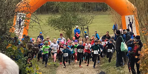 68. Herbstwaldlauf des Skiklubs Dresden-Niedersedlitz und Hofewiese-TRAIL