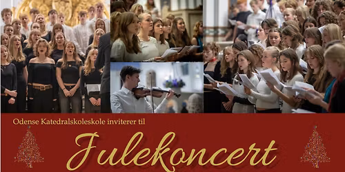 Julekoncert II