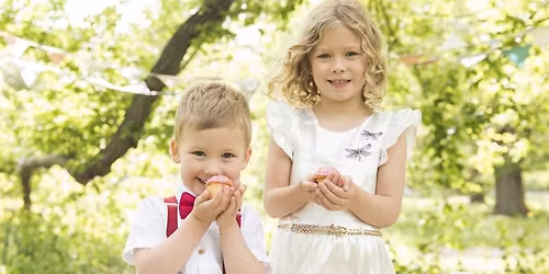 Veale Gardens - Christmas Portraits