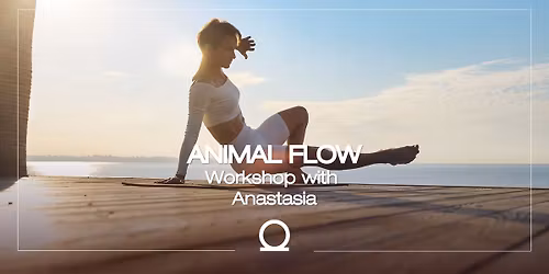 Animal flow | Anastasia