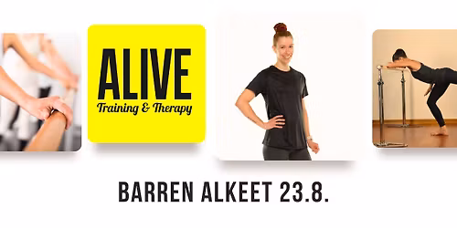 Barren alkeet