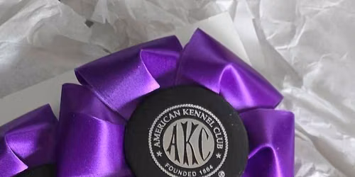 AKC Rally Trials