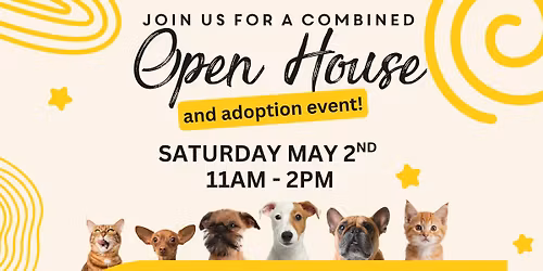 Shelter and Cat Cafe Open House