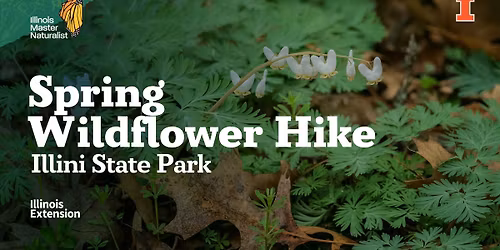 Spring Wildflower Hike - Illini State Park