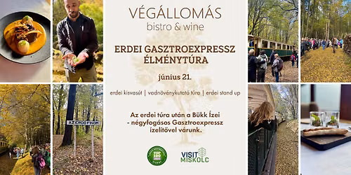 Erdei GasztroExpressz \u00e9lm\u00e9nyt\u00fara l J\u00fanius