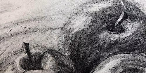 Autumn Term 2026 - Introduction to Drawing Short Course