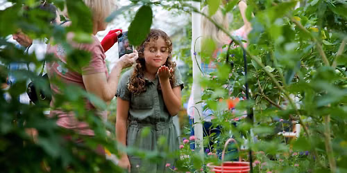 Garden Explorers Summer Camp: Bees, Bats, and Butterflies at the Botanical Gardens