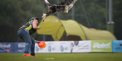 Dogfrisbee Seminar