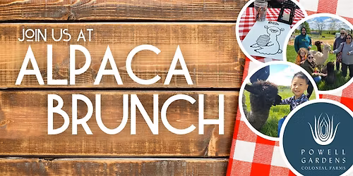 Alpaca Brunch