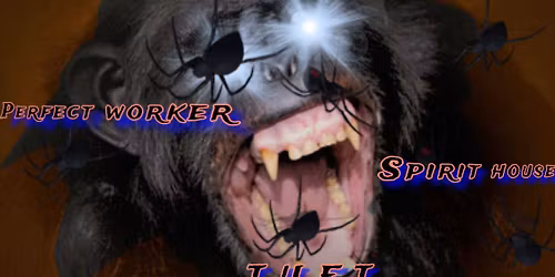 My Wife's An Angel (Philly), Perfect Worker, Spirit House + T.U.F.T at Platypus