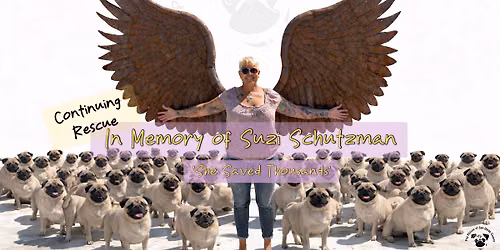 CuppaPug Foster Takeover!