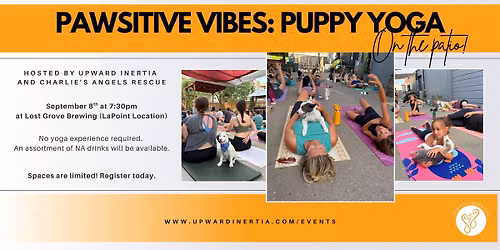 Pawsitive Vibes: Puppy Yoga with Upward Inertia