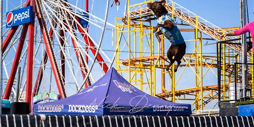 DockDogs\u00ae at Sunfest |  Double Header!