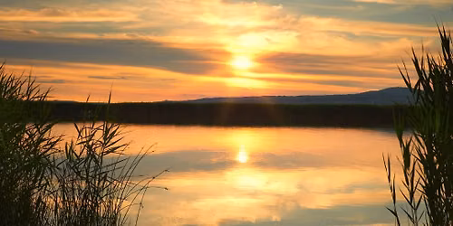 Wilderness Weekends with Emily: Sunrise Stroll at Little Lake