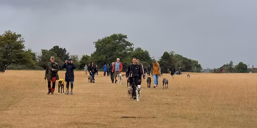 Gloucestershire Greyhound and Sighthound  Walk