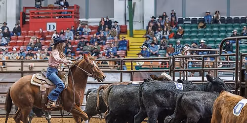 Cowtown Cup