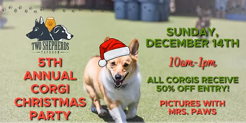 5th Annual Corgi Christmas Party!