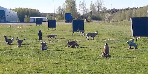 FFAA Animal Round SM 2026, annetut matkat