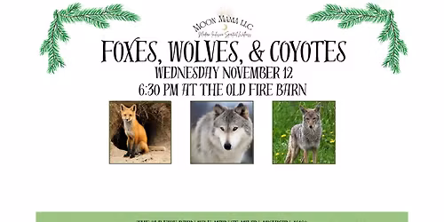 Foxes, Wolves, & Coyotes