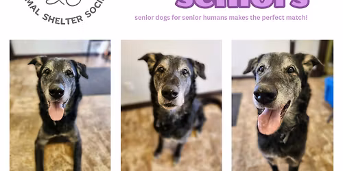 Seniors for Seniors Adoption Event