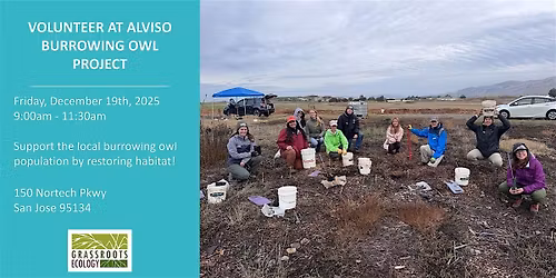 Volunteer Outdoors in Alviso at the Burrowing Owl Project (18+)