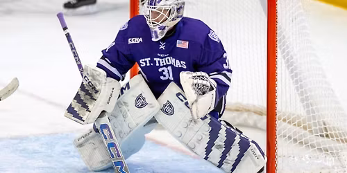 Parking Ferris State Bulldogs at St. Thomas Tommies Mens Hockey