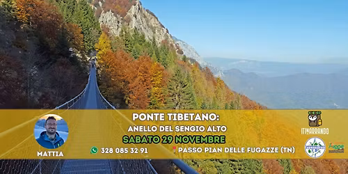 Veneto: Il Ponte Tibetano: Anello del Sengio Alto