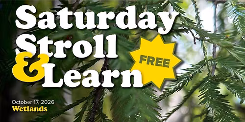 Saturday Stroll & Learn: Prairie 