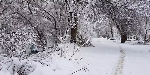 TREKING \u0160TAFETA 8 - K'O NA GRANI JABUKA