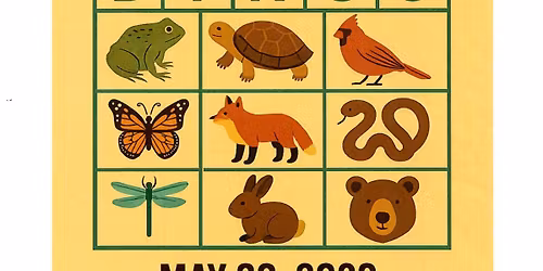 Critter Bingo at Lake Griffin State Park