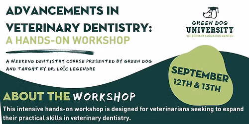 Advancements in Veterinary Dentistry : A Hands-On Workshop