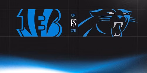 Carolina Panthers v Cincinnati Bengals