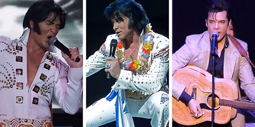 Harry Shahoian - The Elvis of All Eras