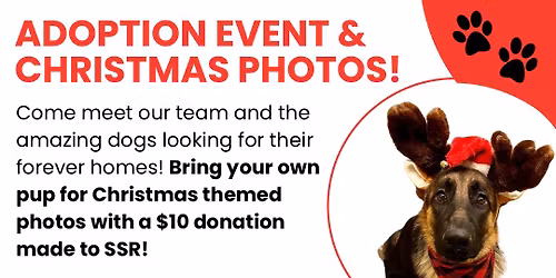 Meet & Greet Adoption Event - Frederick, MD