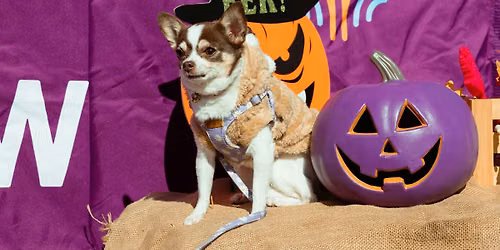 Howl-O-Ween Unleashed | Hall-Ouuuh-Ween d\u00e9cha\u00een\u00e9e