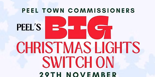 Christmas Lights Switch On