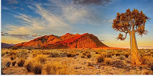 Pub Quiz for Newhaven Foyer