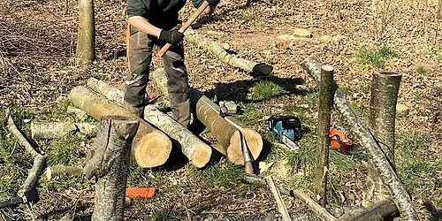 Sweet Chestnut Coppicing Workshop - Sleastonhow Farm 3