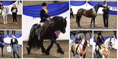 Indoor Working Hunter Hire - Perfect STARS Practice!